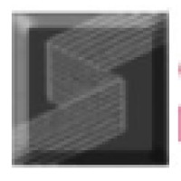 Selint srl logo - Similar company to Test-It