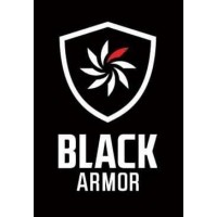 Black Armor Window Films logo - Similar company to Erre Digital