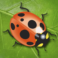 Dr. Earth Company logo - Similar company to Dr-Earth.Com