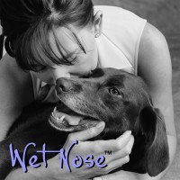 Wet Nose Inc. logo - Similar company to Aderla Pet