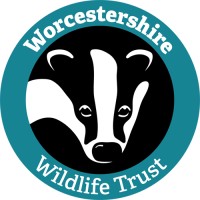 Worcestershire Wildlife Trust logo - Similar company to Connected Ecology Ltd