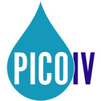 PicoIV logo - Similar company to Aesthetic Intelligence