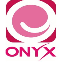 Onyx Signs and Engraving L.L.C logo - Similar company to Blue Waves Advertising Llc