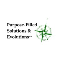 Purpose-Filled Solutions & Evolutions logo - Similar company to Everyone Has A Story Sa Mentoring