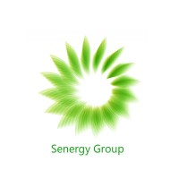 Senergy Group MMC logo - Similar company to Fiberstone