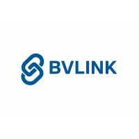BVLink logo - Similar company to Zetronic