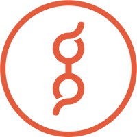 Gumma | Creative Consulting