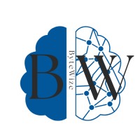 ByteWize logo - Similar company to Flowtek