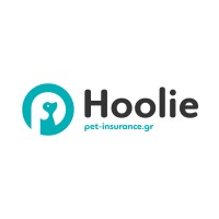 Hoolie Foundation logo - Similar company to Makesure.Gr