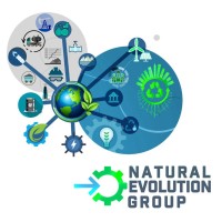 Natural Evolution Group logo - Similar company to Sme Monitoring (Pty) Ltd