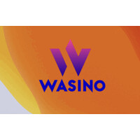 WASINO logo - Similar company to Margex Ecs