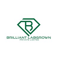 Brilliant Labgrown Private Limited logo - Similar company to Creative Diam