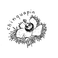 Chinquapin Literary Magazine logo - Similar company to Belladonna* Collaborative