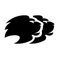 Lyconet logo - Similar company to Local