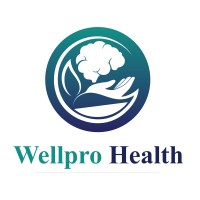 Wellpro Health logo - Similar company to Wellpro Impact Solutions Oy