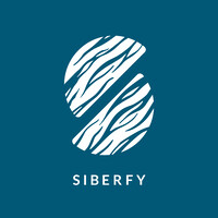 Siberfy logo - Similar company to Cyberfy.In