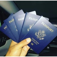 Documents Solution logo - Similar company to Citifarm Systems