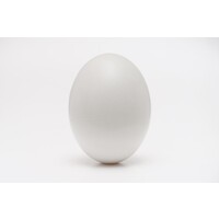 Important HR Memes logo - Similar company to Meme City Pins