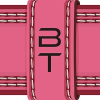 Belt Transport BV logo - Similar company to Btn Logistiek