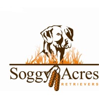 Soggy Acres Retrievers