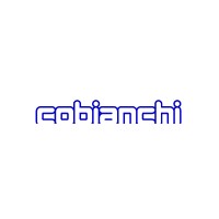 COBIANCHI LIFTTEILE AG logo - Similar company to Cersan Elevator