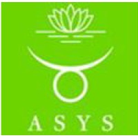 ASYS Automatic Systems GmbH & Co.KG logo - Similar company to Maßstabwerk Gug (Hb)