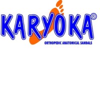 KARYOKA FOOTWEAR COMPANY logo - Similar company to Sky Flowers Company