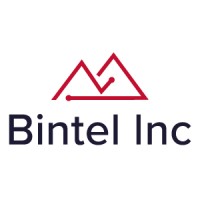 Bintel Inc logo - Similar company to Bintel Ab