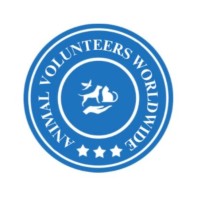 Animal Volunteers Worldwide logo - Similar company to Veterinary Incubation Foundation @ Tanuvas