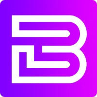 Bauss Software logo - Similar company to Zeeker Solutions