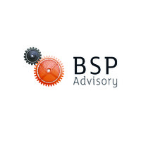 BSP Advisory Group Pty Ltd logo - Similar company to Hales Douglass