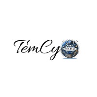 TemCy Global Tech logo - Similar company to Inflearn