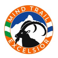 Mind Trail logo - Similar company to Smart Grid Solutions (Sgs)