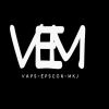 VEM Group Of Companies logo - Similar company to Nutrivor - Group Of Companies