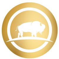 Bright Buffalo logo - Similar company to B & T Innovative Consulting