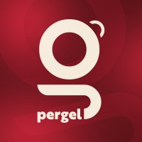 PERGEL Fellowship Programı logo - Similar company to Multidil Ydm