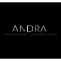 Andra - debt collection