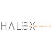 Halex Software Consulting logo - Similar company to Southsuite, Inc.