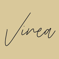 VINEA Abogados, Asesores Fiscales & Consultores logo - Similar company to Kolokium Blockchain Technologies