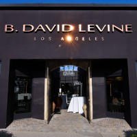 B. David Levine logo - Similar company to Ramstead Ranch, Llc