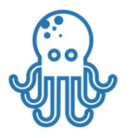 Octopus IT - Expert du recrutement tech logo - Similar company to Lity