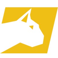 LINCE ITALIA logo - Similar company to Phoebus Professional Audio Systems