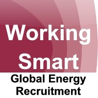 Working Smart Ltd logo - Similar company to Servicios Ambientales S.A.