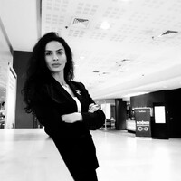 Law Office of Ana Maria Alexandru logo - Similar company to Virani Law