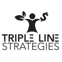 Triple Line Strategies logo - Similar company to An Open Book Foundation