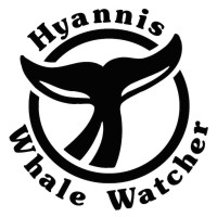 Hyannis Whale Watcher logo - Similar company to Working For Worcester