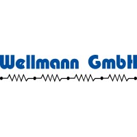 Wellmann GmbH logo - Similar company to Makrosolutions Gmbh