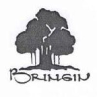 PT Bringin Jati Indah logo - Similar company to Pt Nirwala Sentosa Abadi