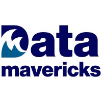 Data Mavericks logo - Similar company to Accelerize 360