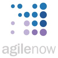 agile now logo - Similar company to Afronect